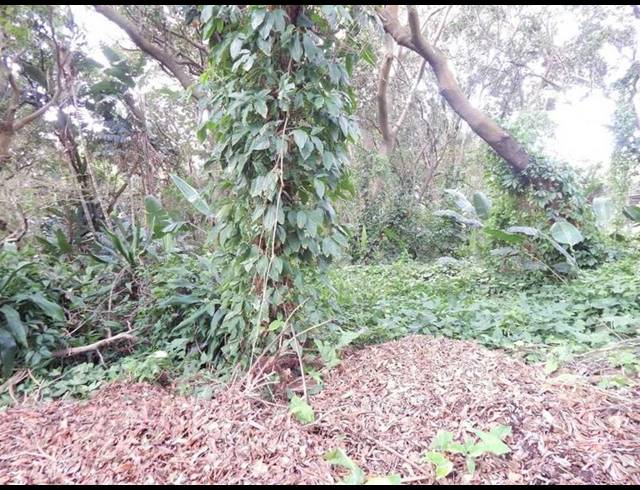 LAND FOR SALE IN GLENMORE